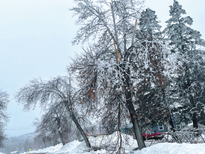 From Duluth and up the North Shore, communities felt the impact of Mother Nature’s knock-off version of Disney’s Frozen. (Photo credit: Krista Starkovich)
